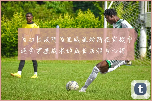 马祖拉谈阿马里威廉姆斯在实战中逐步掌握战术的成长历程与心得
