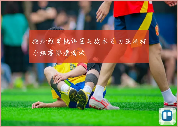 扬科维奇批评国足战术乏力亚洲杯小组赛惨遭淘汰