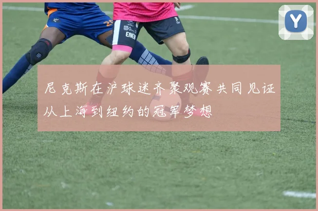 尼克斯在沪球迷齐聚观赛共同见证从上海到纽约的冠军梦想